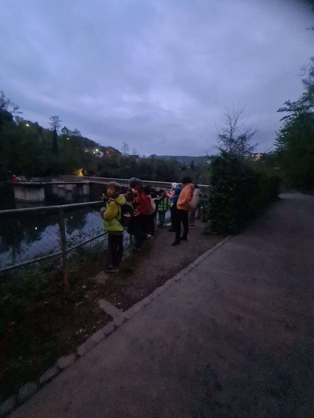Fledermäusen auf der Spur