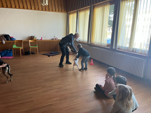 Umgang mit Hunden