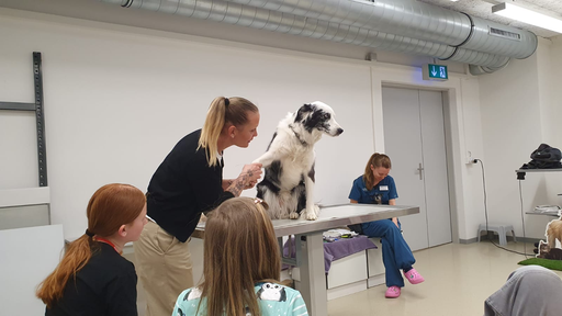 Tierklinik