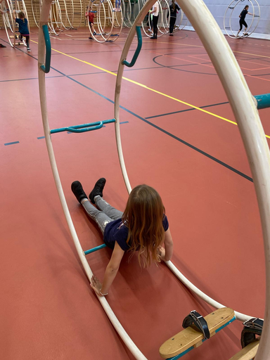 Rhönrad