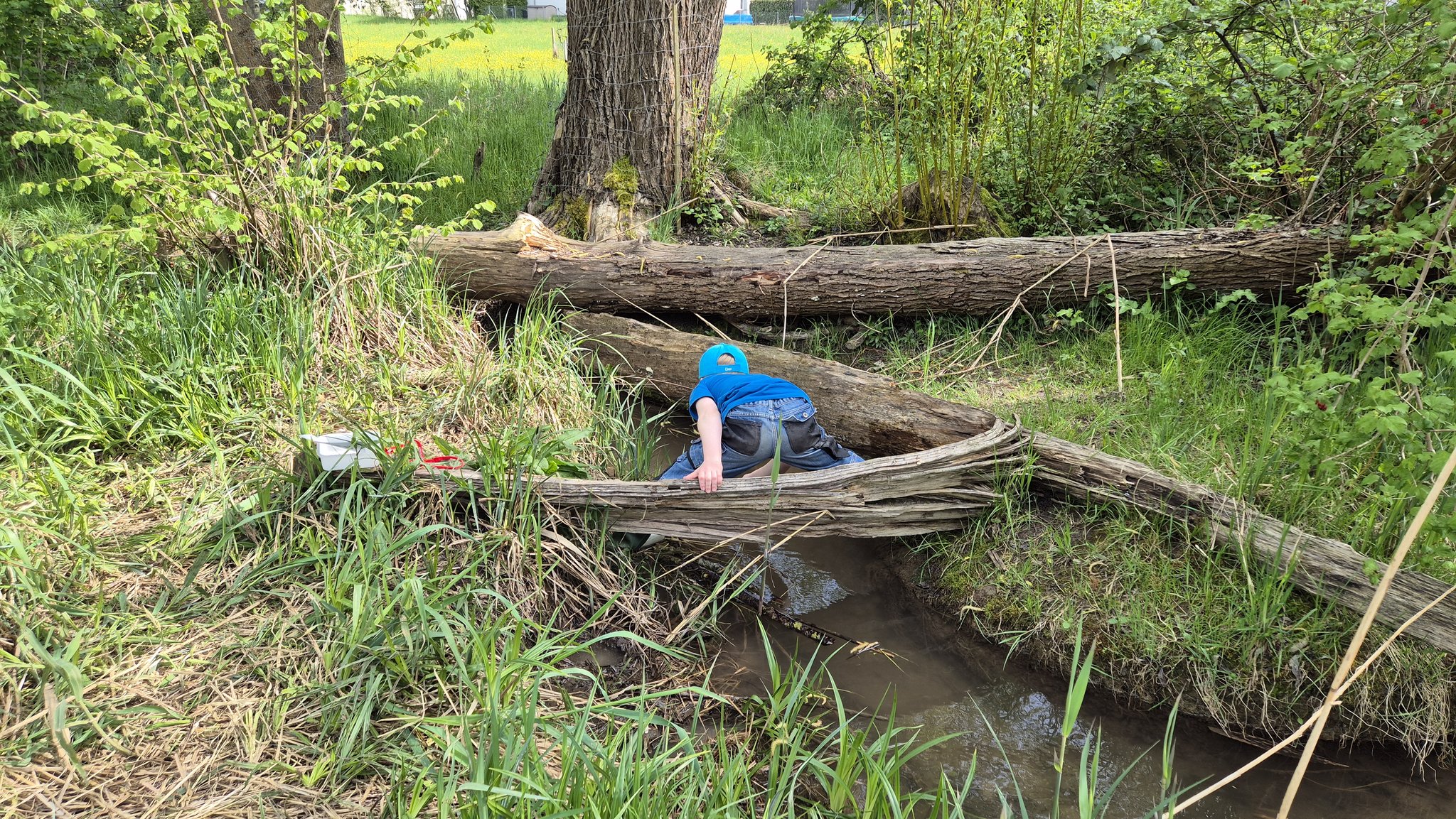 Forschen am Bach