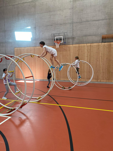 Rhönrad