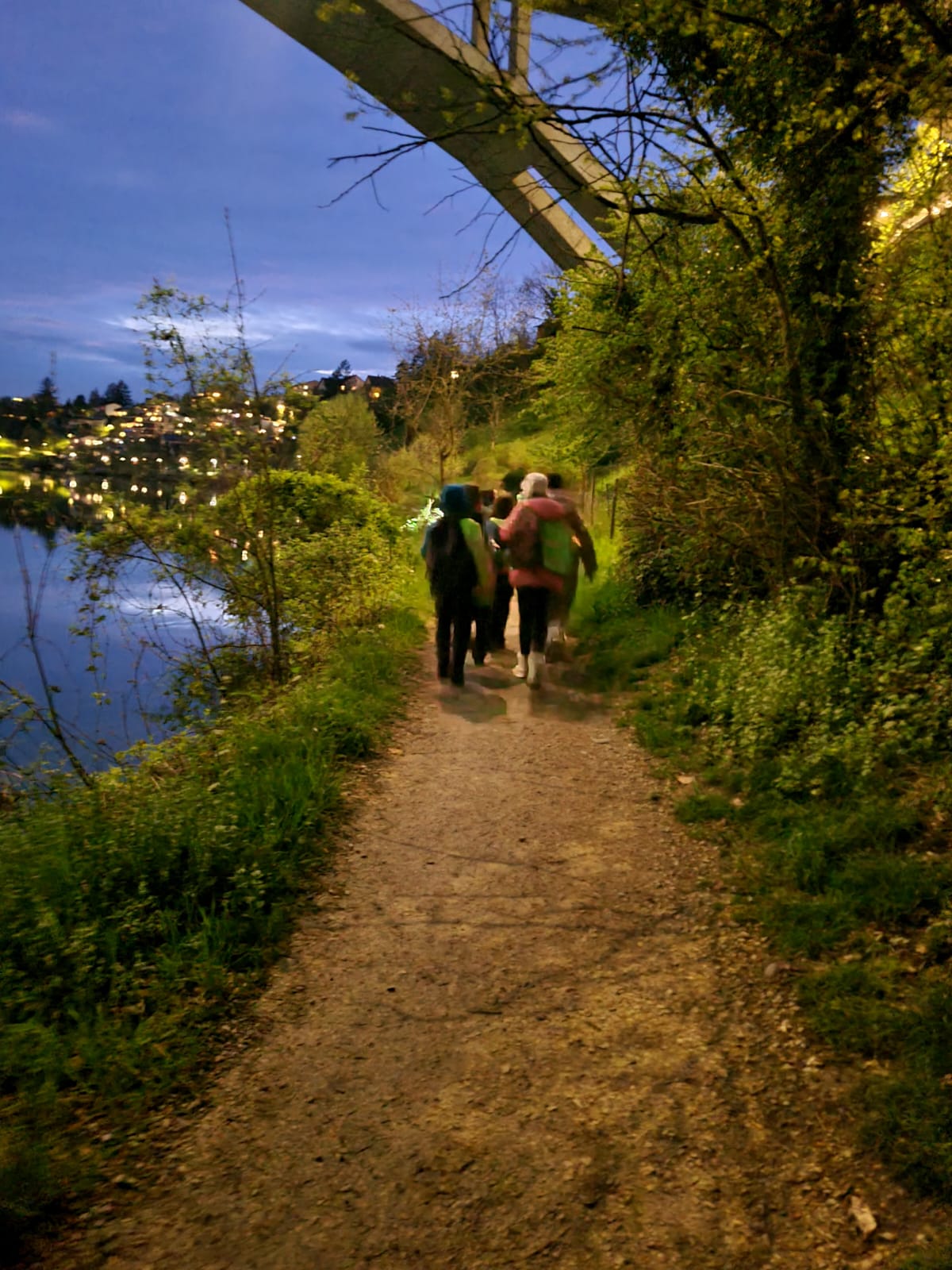 Fledermäusen auf der Spur