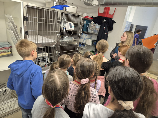 Tierklinik
