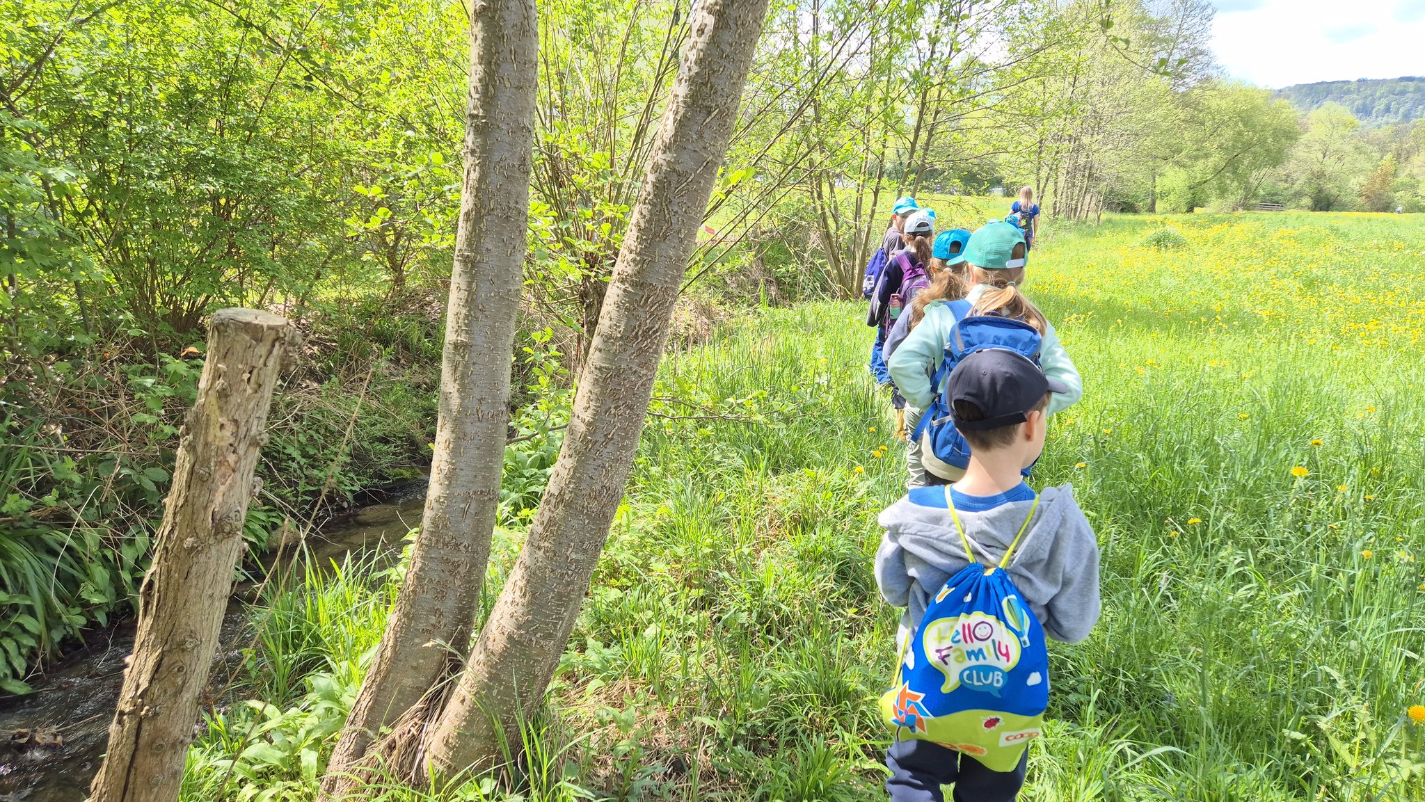 Forschen am Bach
