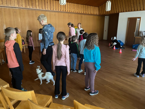 Umgang mit Hunden