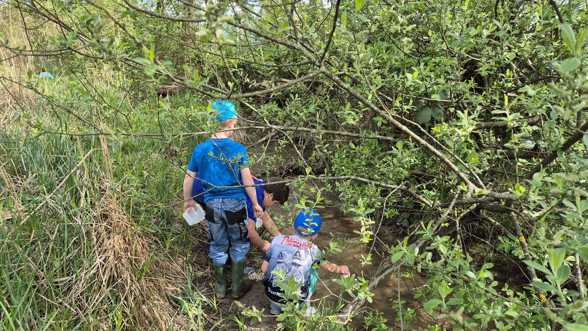 Forschen am Bach