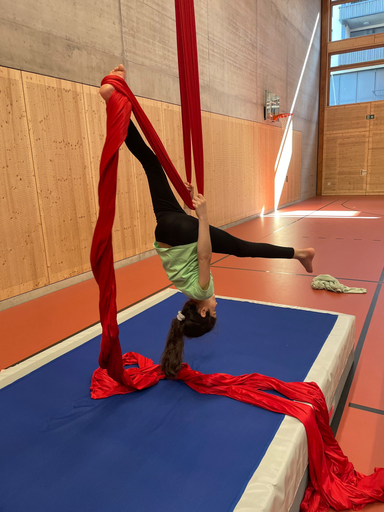 Vertikaltuch